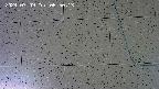 kannonmori-20240709085015.jpg
