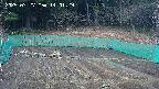 kannonmori-20250327140131.jpg