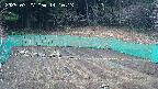 kannonmori-20250327141014.jpg