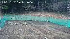 kannonmori-20250327142017.jpg