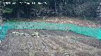kannonmori-20250327143016.jpg
