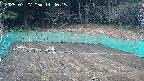 kannonmori-20250327144016.jpg