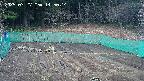 kannonmori-20250327145015.jpg