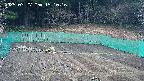 kannonmori-20250327151017.jpg