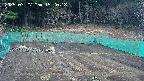 kannonmori-20250327152018.jpg