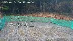 kannonmori-20250327153017.jpg