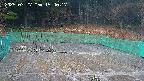 kannonmori-20250327154017.jpg