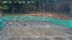 kannonmori-20250327162018.jpg