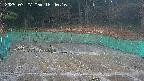 kannonmori-20250327164016.jpg