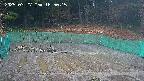 kannonmori-20250327165016.jpg