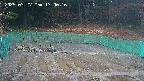 kannonmori-20250327170016.jpg