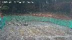 kannonmori-20250327171017.jpg