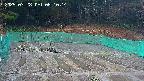kannonmori-20250328061015.jpg