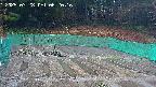 kannonmori-20250328062017.jpg