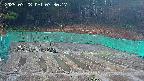kannonmori-20250328073017.jpg