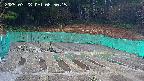 kannonmori-20250328085016.jpg