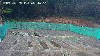 kannonmori-20250328093015.jpg