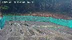 kannonmori-20250328094022.jpg