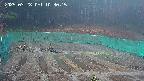 kannonmori-20250328103015.jpg