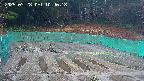 kannonmori-20250328104018.jpg