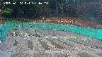 kannonmori-20250328113020.jpg