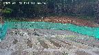 kannonmori-20250328115017.jpg