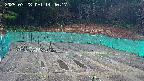 kannonmori-20250328144019.jpg