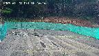 kannonmori-20250328161017.jpg