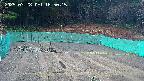 kannonmori-20250328165017.jpg