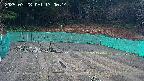 kannonmori-20250328170016.jpg