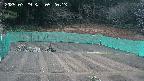 kannonmori-20250329052015.jpg