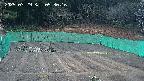 kannonmori-20250329053018.jpg