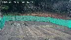 kannonmori-20250329054015.jpg