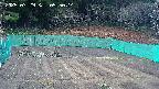 kannonmori-20250329055016.jpg