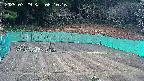 kannonmori-20250329061017.jpg