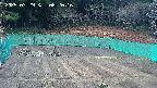 kannonmori-20250329062018.jpg
