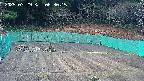 kannonmori-20250329063017.jpg