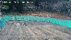 kannonmori-20250329064018.jpg