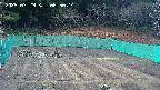 kannonmori-20250329065016.jpg