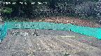 kannonmori-20250329070015.jpg