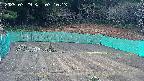 kannonmori-20250329071015.jpg