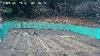 kannonmori-20250329072017.jpg