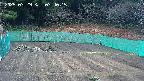 kannonmori-20250329074016.jpg