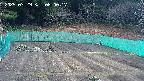 kannonmori-20250329080018.jpg