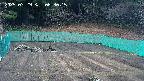 kannonmori-20250329083017.jpg