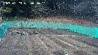 kannonmori-20250329085016.jpg