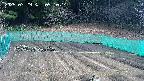 kannonmori-20250329091016.jpg