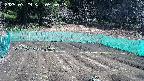 kannonmori-20250329095017.jpg