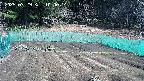kannonmori-20250329100015.jpg