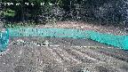 kannonmori-20250329102016.jpg
